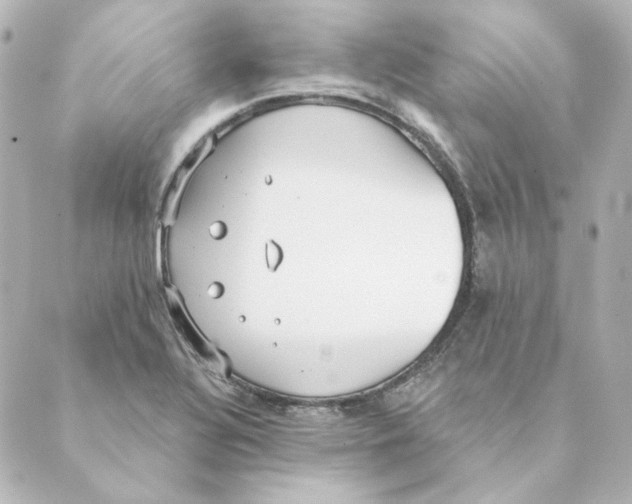 X0000088611320200706221421