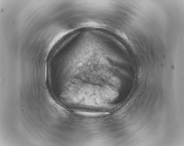 X0000088611323200706221421