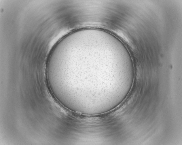 X0000088611325200706221421