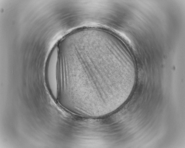 X0000088611327200706221421