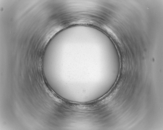 X0000088611329200706221421