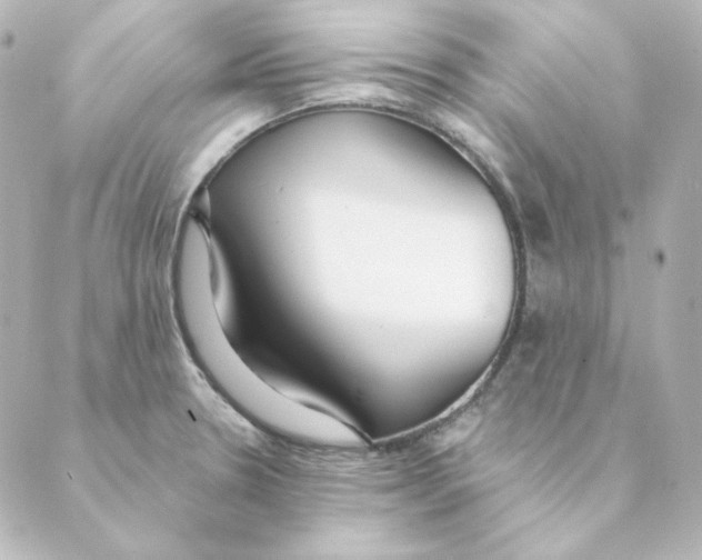 X0000088611330200706221421