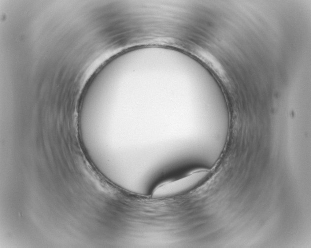 X0000088611332200706221421