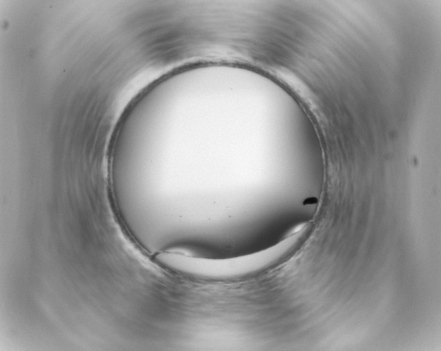 X0000088611335200706221421