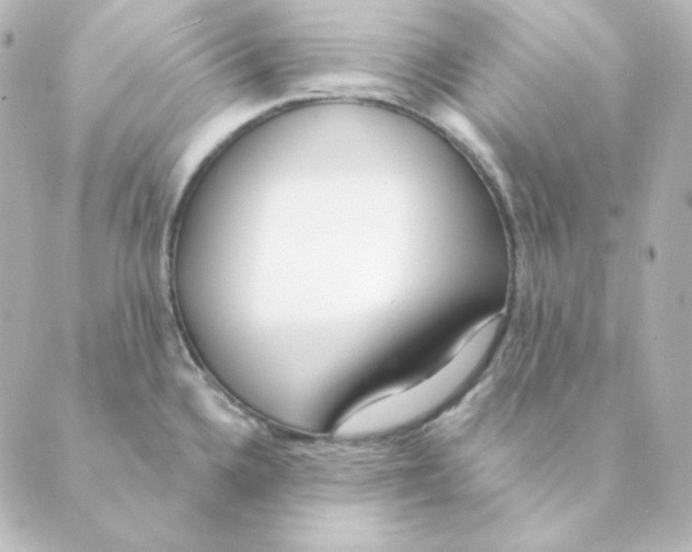 X0000088611336200706221421