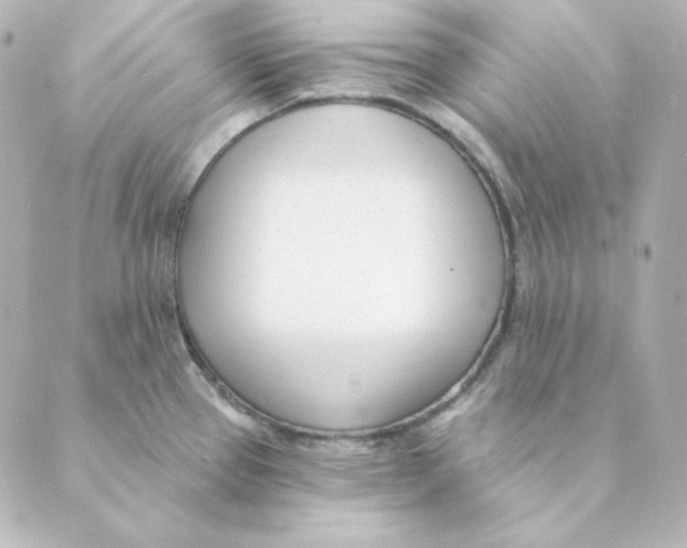 X0000088611337200706221421