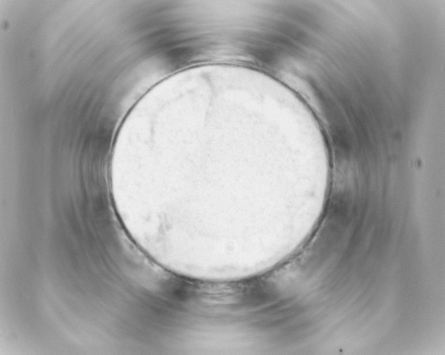 X0000088611338200706221421