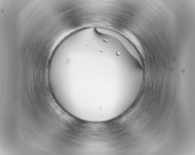 X0000088611340200706221421