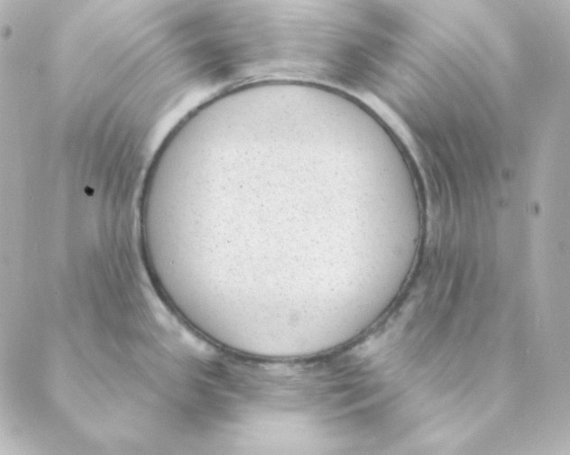 X0000088611341200706221421