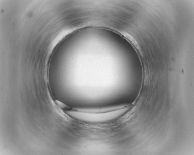 X0000088611342200706221421