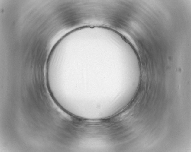 X0000088611343200706221421