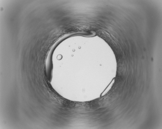 X0000088611345200706221420