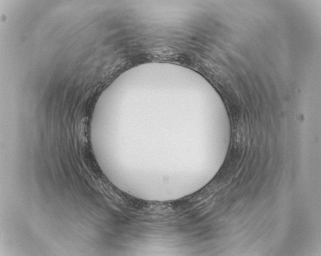 X0000088611346200706221420