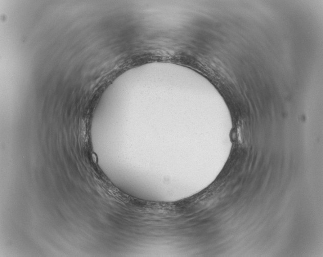 X0000088611347200706221420