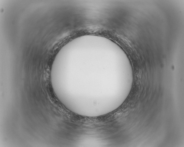 X0000088611349200706221420