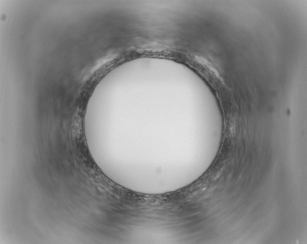 X0000088611350200706221420