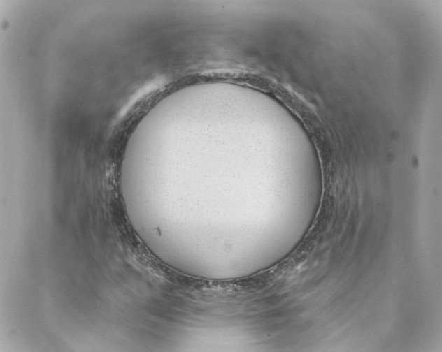 X0000088611351200706221420