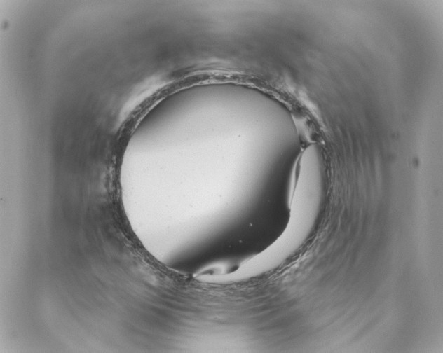 X0000088611352200706221420