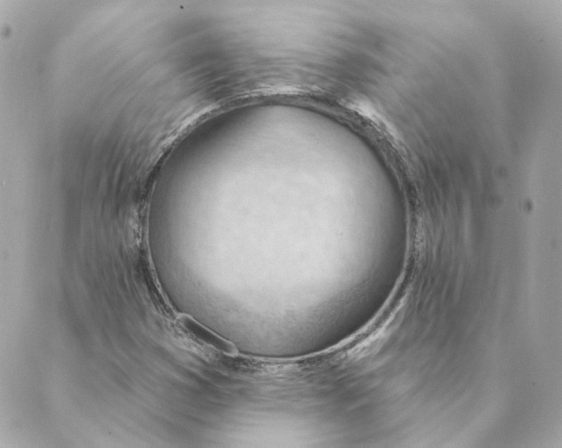 X0000088611353200706221420