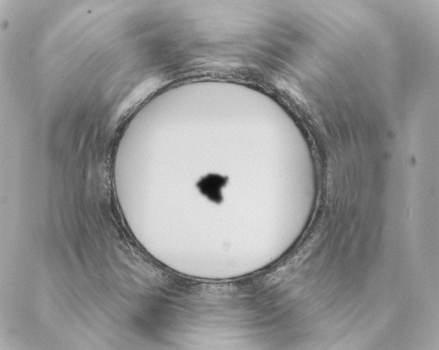 X0000088611354200706221420