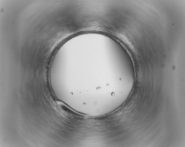 X0000088611356200706221420