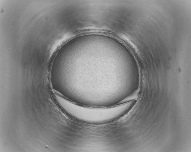 X0000088611357200706221420