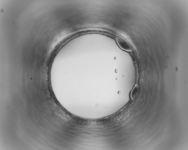 X0000088611360200706221420