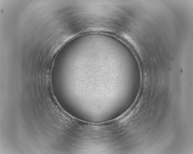 X0000088611361200706221420