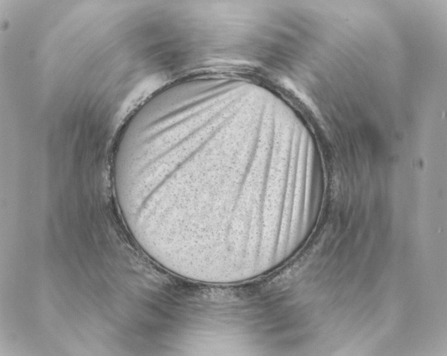 X0000088611362200706221420