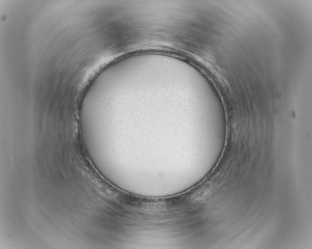 X0000088611363200706221420