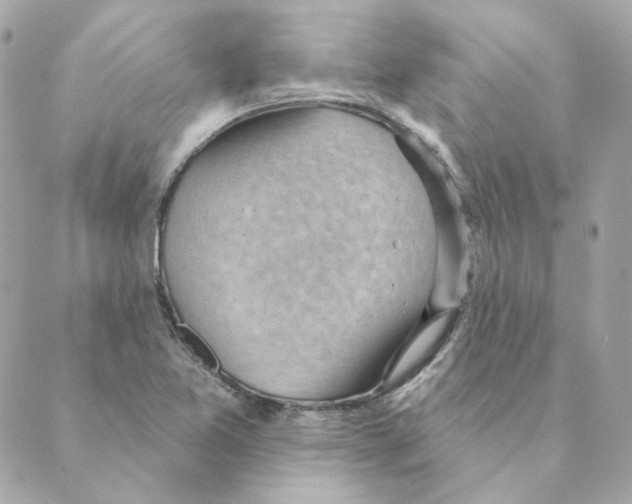 X0000088611365200706221420