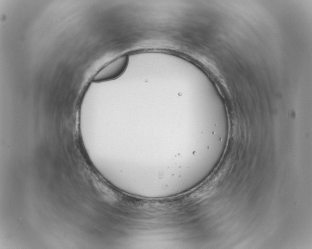 X0000088611366200706221420