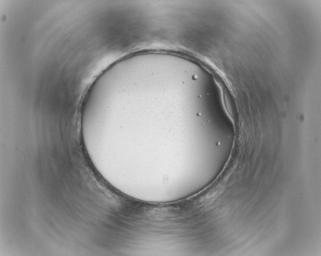 X0000088611367200706221420