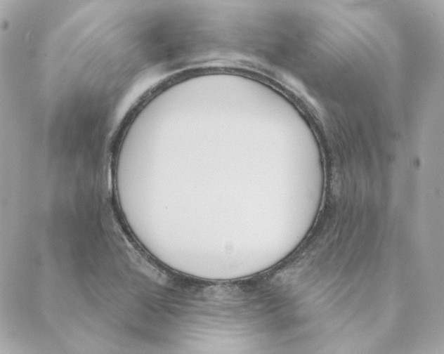 X0000088611368200706221420