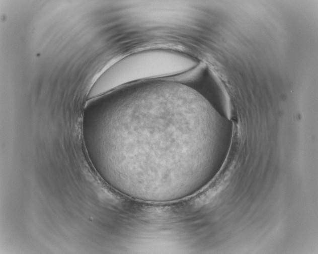 X0000088611369200706221420