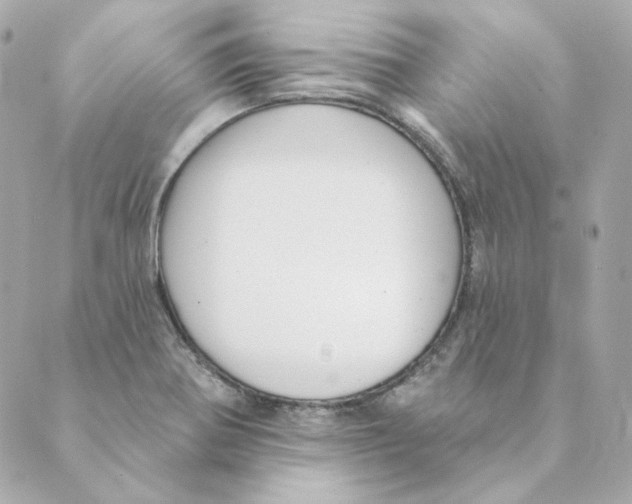 X0000088611370200706221420