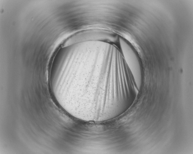 X0000088611372200706221420