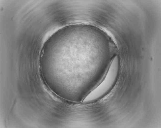 X0000088611373200706221420