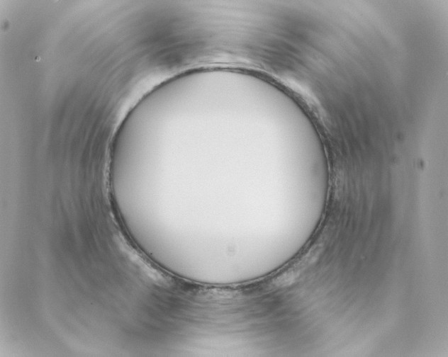 X0000088611374200706221420