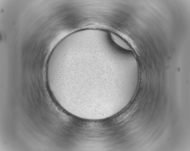 X0000088611375200706221420