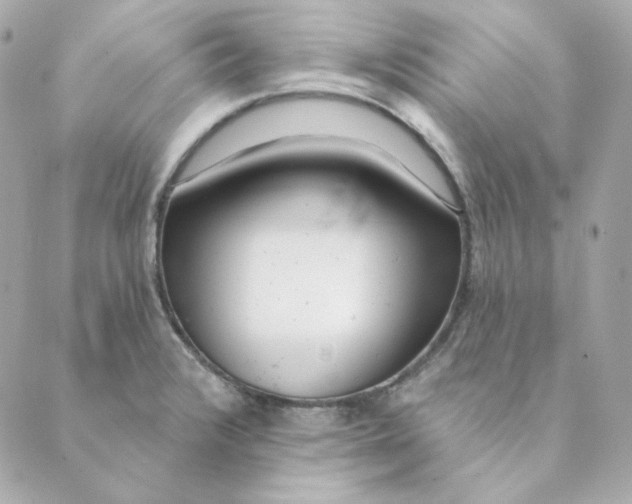 X0000088611376200706221420