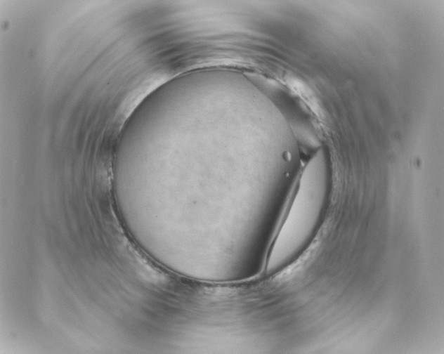 X0000088611377200706221420