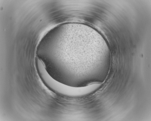 X0000088611379200706221420