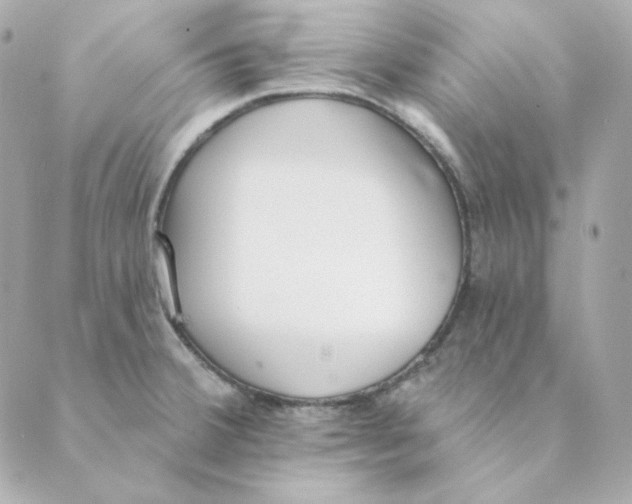 X0000088611380200706221420