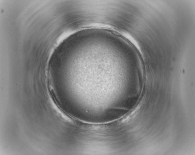 X0000088611381200706221420