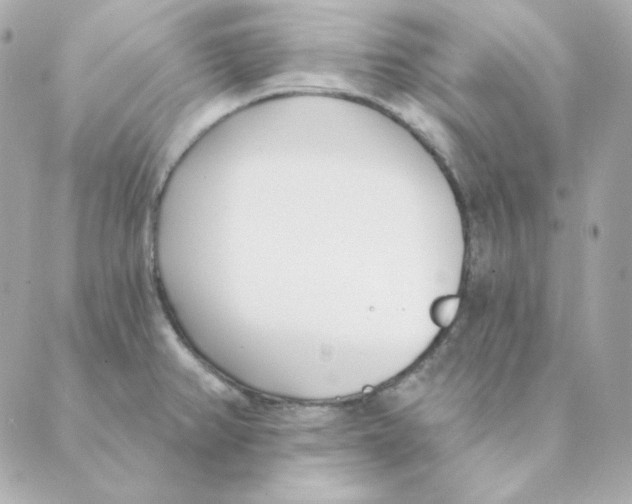 X0000088611382200706221420