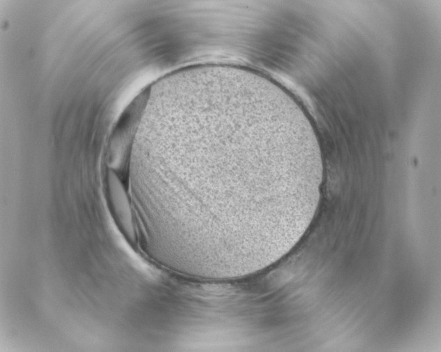 X0000088611383200706221420