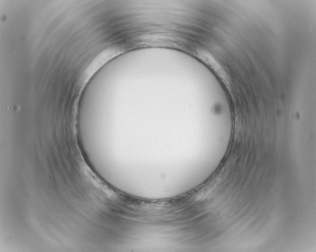 X0000088611386200706221420