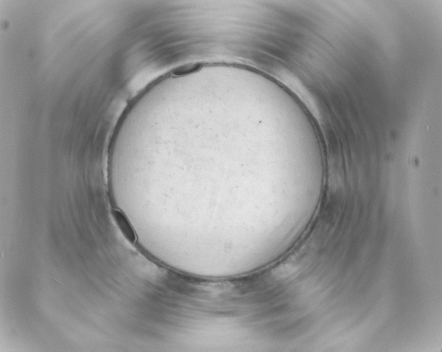 X0000088611388200706221420