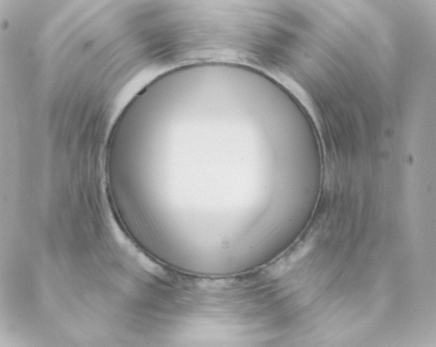 X0000088611389200706221420